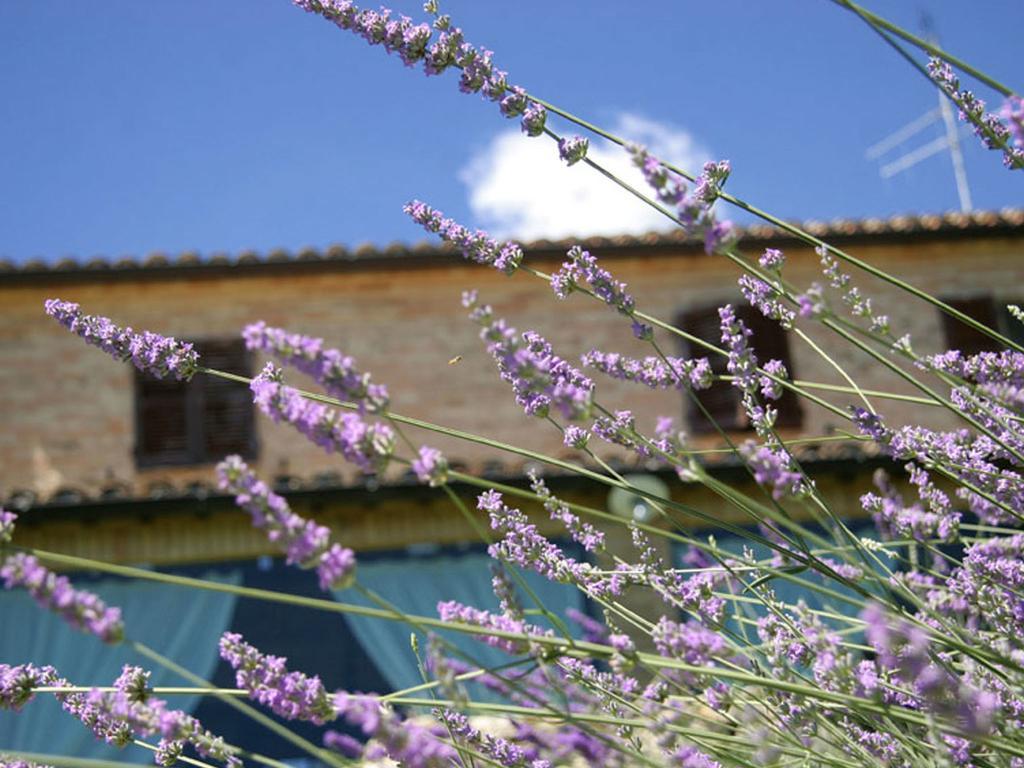 Villarondanella Fermo Exterior foto